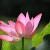 miemar9798