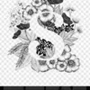 salwa__.7
