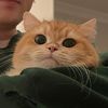 bikitbokit