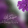 abeerzaid41