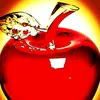 apple_manufacturer