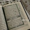 dy2aelbfr49v