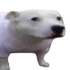 dawg_the_cupcake
