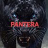 P A N T E R A 95_5