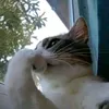 z___jo6