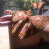 anna_anna_2412