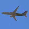 radika_airlines
