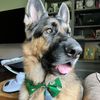 sirthegsd
