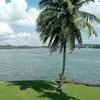 abbydemorales8