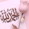 solafebrahim