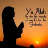 yaassiiib