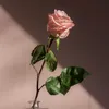 rosiechixxss