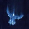 uccve.ru