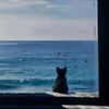 fatima_jafar8