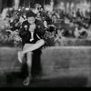 goris_1411