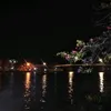 nguyen.linh1k95