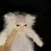 eaglecorn