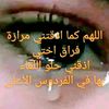 kamel0122