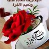 ziadmahmoudsharif0