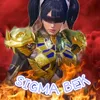 sigma.solo82