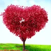 user1080452505912