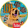 Lexa 🐾