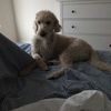 maddieandpoppy6