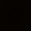 nicolas__241