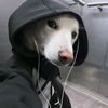 mr_theboy