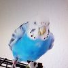 sweetybirds0