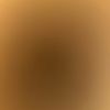 nabsbsn34