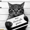 cattanin.cattanan
