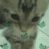 kaze.ksp