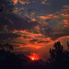 armando_103