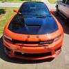 tigerscatpack843