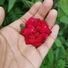 kazi_muskan_0220
