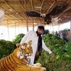 bazmohammad8742