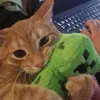 cat_love_you_8