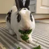 siiri.auroraaa