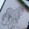 bacon_2115