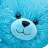bluebear608