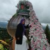 liasy16