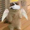 trxty_vr