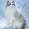 qqwert42