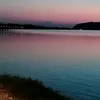 _gajiccc_0
