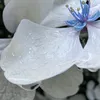 raanet_rotyleki