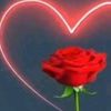 jebrilmohamed72