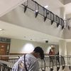 sltnfzry