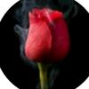 💋I love you 💋  Hayat_Eid💋
