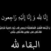 mortadaalsaeedi04